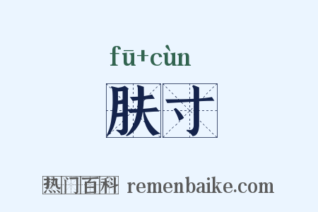 肤寸是什么意思的图片